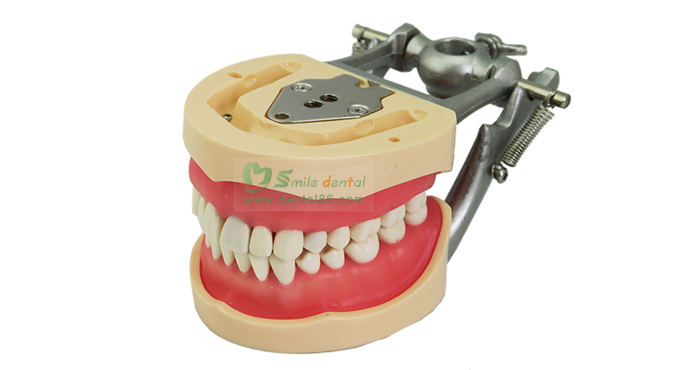 TM-A10 Standard Model1